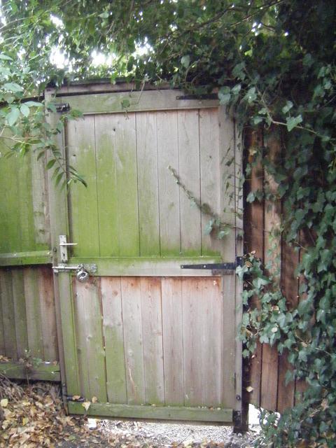 dscf2128.jpg
